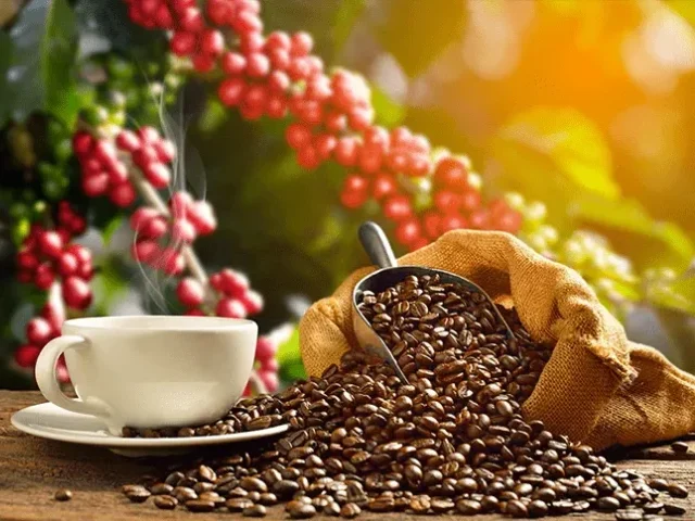 Cotacao do Café arabica hoje no mercado brasileiro
