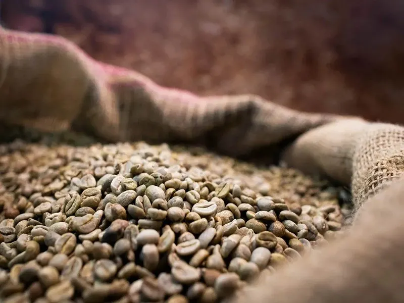 café arábica hoje em queda com avanço da safra brasileira e pressão no mercado global