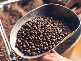 cafe conilon vai subir?