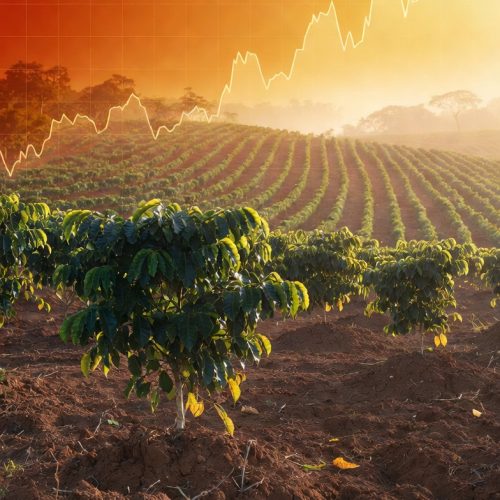 clima café Brasil com risco de seca afetando lavouras em Minas Gerais e Espírito Santo