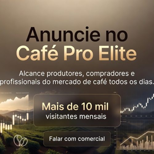 mercado de café hoje pressionado pelo dólar forte e safra brasileira