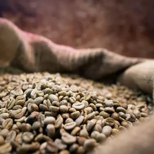 café arábica hoje em queda com avanço da safra brasileira e pressão no mercado global