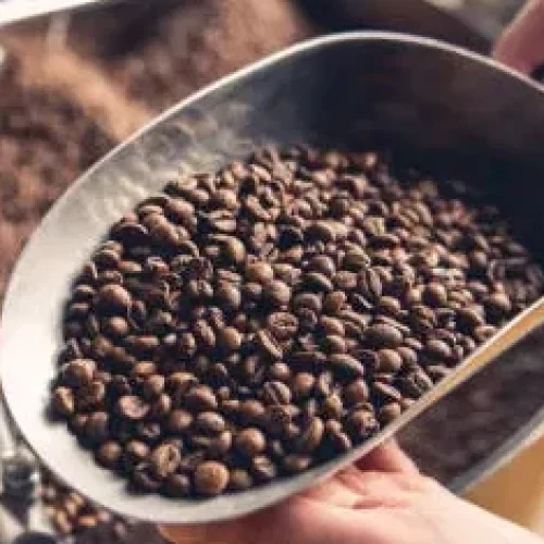 cafe conilon vai subir?